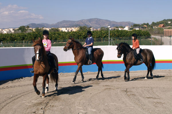 La Escuela ofrecera clases de iniciación y perfeccionamiento en la equitación, a partir de siete años.