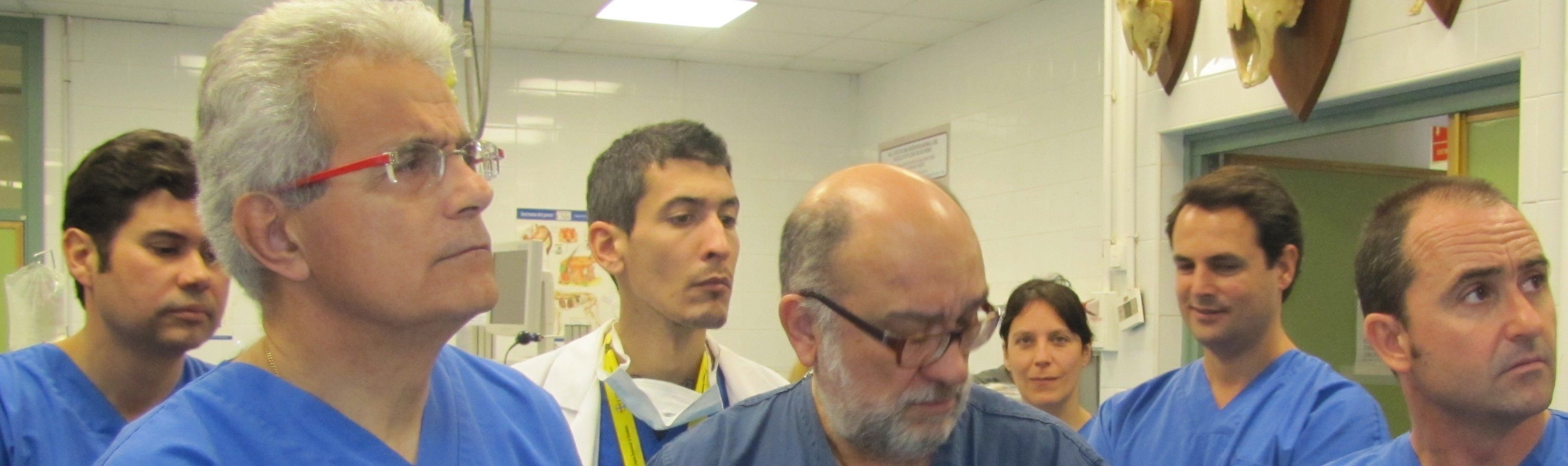 Los doctores Cugat y Tarragó, de la Fundación García Cugat, junto al doctor Carrillo durante una sesión formativa en el Hospital Clínico Veterinaria de la Universidad CEU Cardenal Herrera.