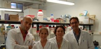 Investigadores de la CEU-UCH demuestran que una micotoxina presente en muchos alimentos afecta a la regeneración de las neuronas