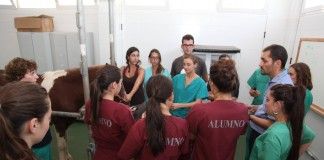 Jornada de Oftalmología Equina en la Facultad de Veterinaria de la Universidad CEU Cardenal Herrera