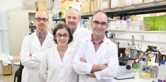 Investigadores de la CEU-UCH identifican una proteína clave en la multiplicación, migración y diferenciación de las células madre neuronales