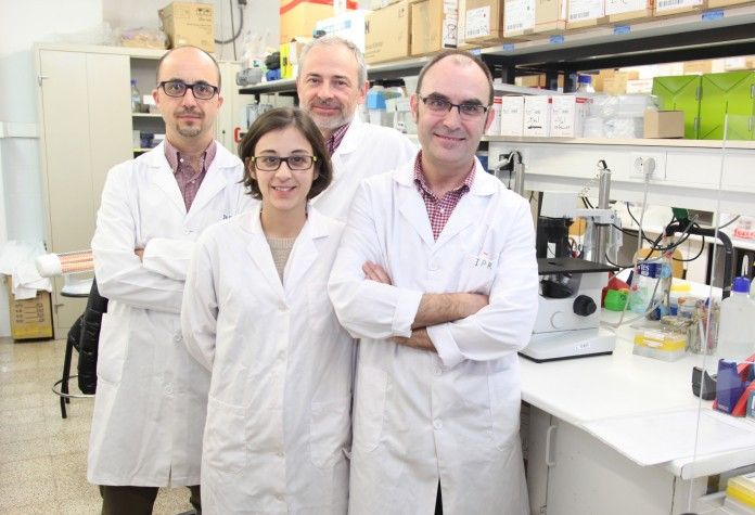 investigacion-proteina-rhoe-ceu-uch