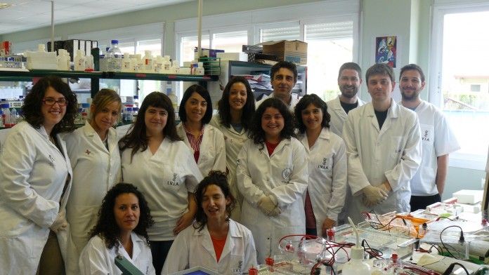 José Penadés y David Viana junto a los investigadores de la CEU-UCH, las Universidades de Glasgow y Edimburgo y el IVIA, participantes en la investigación.