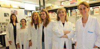 Investigadores de la CEU-UCH descubren que la progesterona es eficaz para el tratamiento de la retinosis pigmentaria, causa de ceguera La profesora de Farmacia de la CEU-UCH María Miranda (segunda por la dcha.), junto a las integrantes del Grupo “Estrategias terapéuticas en patologías oculares” de la CEU-UCH.