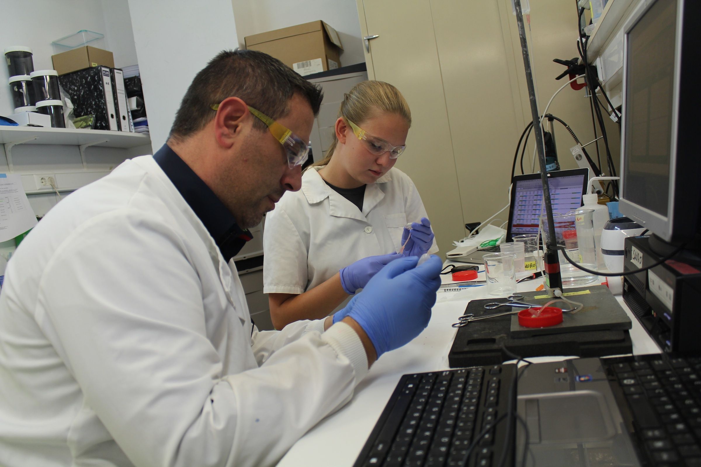 El profesor Sauro y Anna Odintsova, trabajando en los laboratorios de la CEU-UCH.
