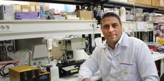 El profesor de Dentistry de la CEU-UCH Salvatore Sauro participa en un estudio internacional sobre nuevos nanomateriales dentales, más terapéuticos y capaces de regenerar tejidos