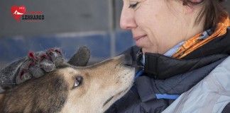 La profesora Mila Benito, en el equipo internacional de veterinarios de Lekkarod 2016