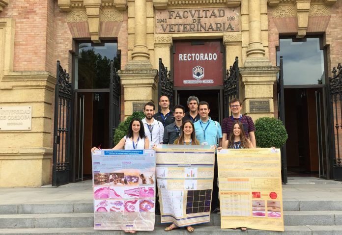 Investigadores y estudiantes del Grupo de investigación en Patología y Sanidad Animal de la CEU-UCH, en la reunión de la SEAPV en Córdoba.