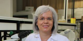 Virus del papiloma y cáncer: colaboramos con la SEIMC en las recomendaciones para el diagnóstico de la infección La profesora del Departamento de Farmacia de la CEU-UCH Teresa Pérez Gracia, coautora de las recomendaciones de la SEIMC para el diagnóstico de la infección por el virus del papiloma humano.
