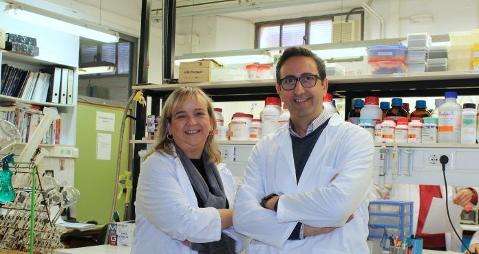 Los profesores de la CEU-UCH María Miranda y José Miguel Soria, que han dirigido al equipo investigador del Instituto de Ciencias Biomédicas de esta Universidad valenciana.