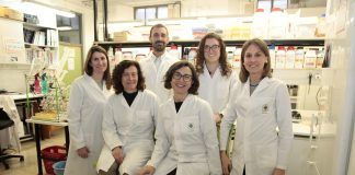 Diseñan un parche para administrar a través de la piel fármacos para el tratamiento de pacientes con Alzheimer Investigadores de la CEU-UCH y miembros del equipo autor del estudio sobre administración transdérmica de memantina.