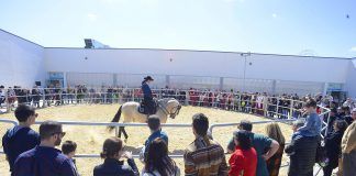 Jornada de Puertas Abiertas en el Hospital Clínico Veterinario