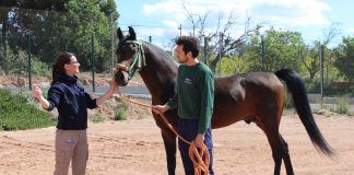 El CEU acoge la Parada de Sementales de Cría Caballar de las Fuerzas Armadas
