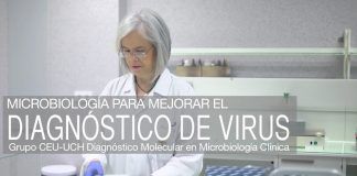 Teresa Pérez Gracia, primera española en el ‘top 1%’ de expertos internacionales en el virus de la hepatitis E Teresa Pérez Gracia, catedrática de Microbiología del CEU-UCH.