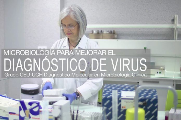 Teresa Pérez Gracia, catedrática de Microbiología del CEU-UCH.