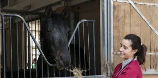 Veterinaria: la única facultad privada “aprobada y acreditada” por la máxima autoridad europea