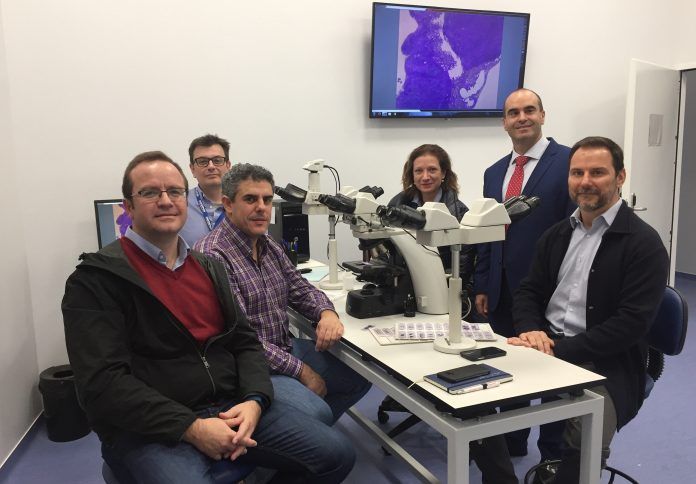 Responsables del sector avícola y agroalimentario de la CV, junto a miembros del Grupo de Patología y Sanidad Animal de la CEU UCH en los laboratorios. De izquierda a derecha: Pablo Catalá, David Viana, Joaquín Ortega, Loreto Dolz, Juan Manuel Corpa y Sergio Barona.