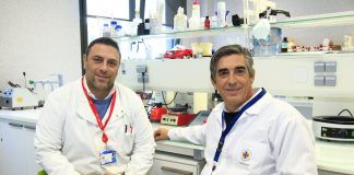 Desarrollan nuevos biomateriales adhesivos para prevenir las manchas blancas en los dientes con brackets utilizados en ortodoncia Los profesores de la CEU UCH Salvatore Sauro y Santiago Arias Luxan, autores del estudio publicado por Journal of Dentistry.