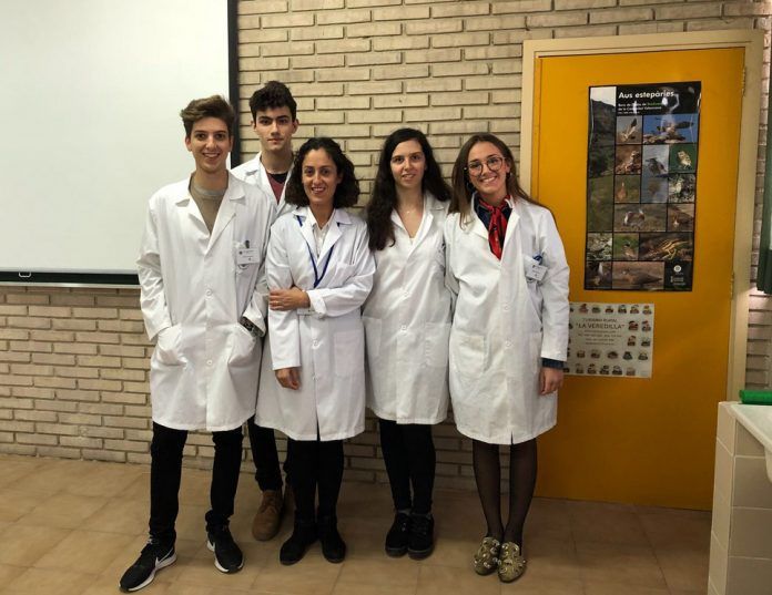 Estudiantes de Farmacia y Veterinaria de la CEU UCH, durante la primera sesión de formación del proyecto SWI-CEU en el colegio Santa María del Puig.
