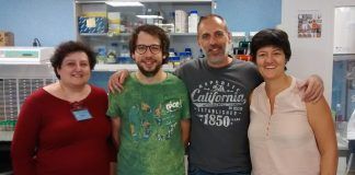 Estudian por primera vez la presencia de un parásito intestinal en perros de la provincia de Castellón y evalúan sus posibilidades de contagio a las personas M.ª Auxiliadora Dea, Manuel Adell, David Carmena y Paula Sánchez, miembros del equipo investigador.
