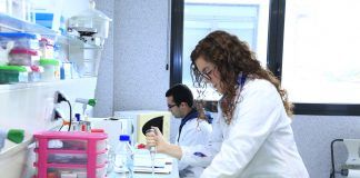 Diseñan un inserto ocular para administrar antioxidantes en el ojo, a través de la córnea y la esclera