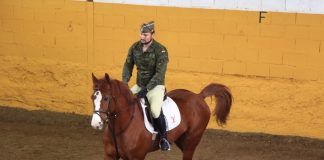 La Facultad de Veterinaria acoge la Parada de Sementales de Cría Caballar de las Fuerzas Armadas