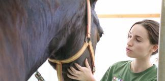 Estudiantes de la CEU UCH crean un centenar de vídeos con numerosas salidas profesionales para Veterinaria
