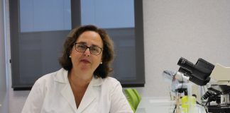 Belén Merck, única española en un ensayo clínico internacional sobre imágenes 3D y cirugía del cáncer de mama Belén Merck Navarro, profesora de Medicina de la CEU UCH.