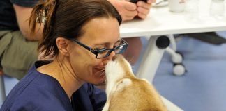 Milagros Benito, en el Comité de Bienestar Animal de la Federación Internacional de Deportes de Trineo con Perros