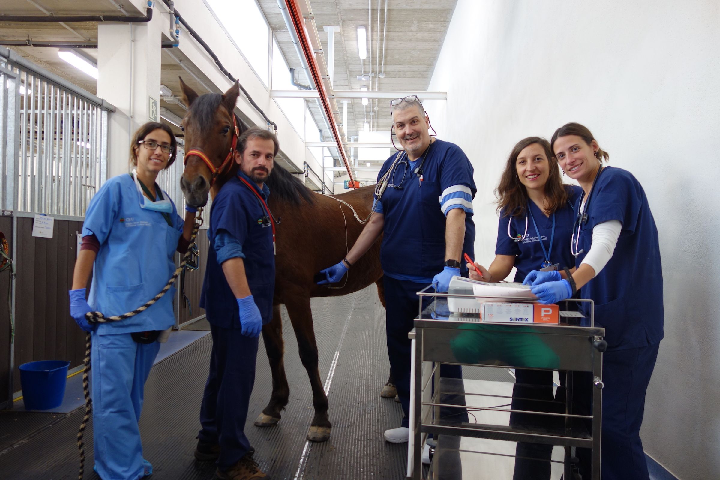La ATV Elia Malo, y los profesores Ignacio Corradini, Javier Engel, Alicia Fernández y Marta Barba, con la yegua Málaga, durante el proceso de validación de la app para electrocardiogramas, en el HCV de la CEU UCH.