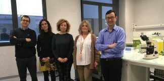 Diseñan dos algoritmos matemáticos para mejorar la detección precoz del deterioro cognitivo en las farmacias Los investigadores de la CEU UCH Juan Pardo, María Dolores Guerrero, Lucrecia Moreno, Maite Climent y Javier Muñoz, autores del estudio sobre detección precoz del deterioro cognitivo en farmacias.