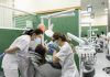 Por primera vez, en el Ranking de Shanghái por áreas de conocimiento en Odontología y Salud Oral