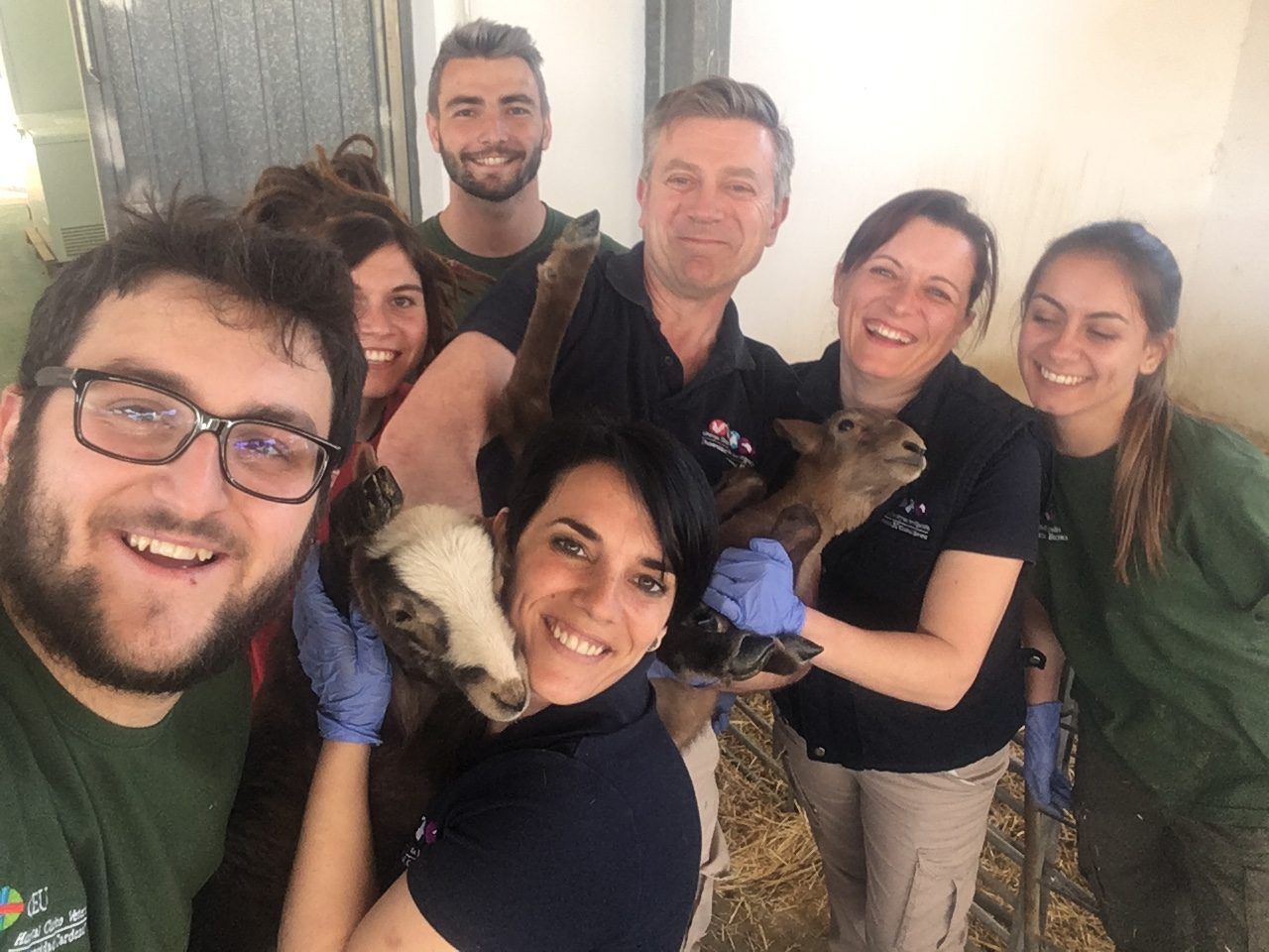 Investigadores de la CEU UCH y el INIA han desarrollado este nuevo método reproductivo para ganado ovino en la Granja de Docencia e Investigación Veterinaria de la CEU UCH.