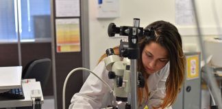 Las universidades valencianas reclaman medidas urgentes para la I+D Foto: UPV.