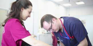 Pioneros en el uso de electroquimioterapia en oncología veterinaria