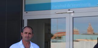 El profesor José Mª Carrillo, nuevo presidente de la Sociedad Española de Cirugía Veterinaria