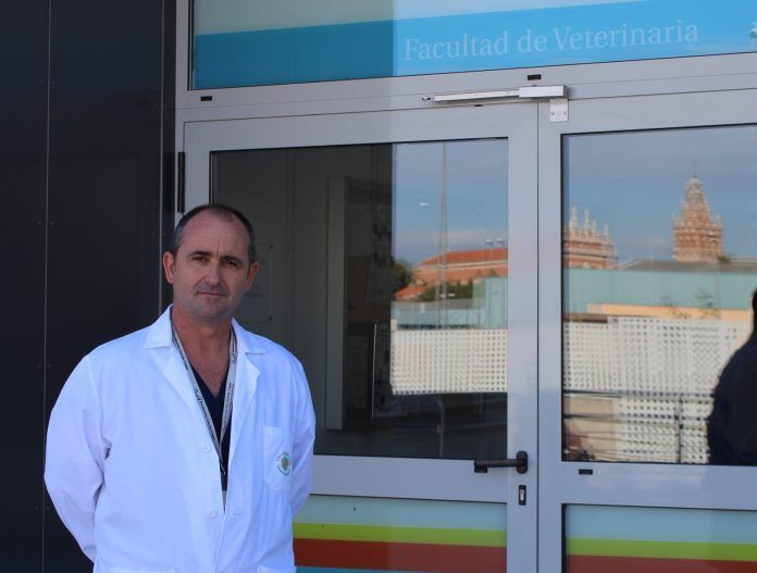 jmcarrillo-hcvceu