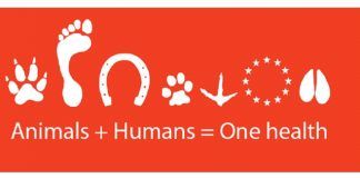 Veterinaria acerca el enfoque «One Health» a la escuela