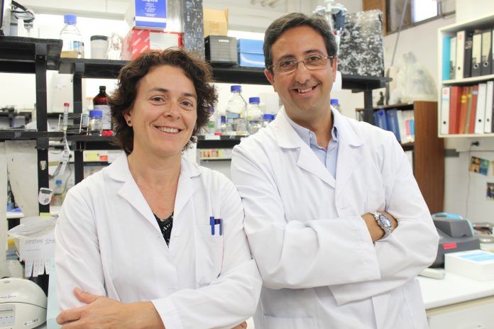 Los profesores de la CEU UCH de Elche y Valencia María Ángeles García Esparza y José Miguel Soria, autores de la investigación sobre los efectos de la Ocratoxina A, en colaboración con investigadores del CIPF y la UV.