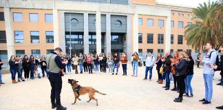 Descubriendo cómo entrenan los agentes caninos de la Policía Local