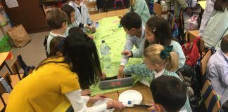 Fomentando la ecología en las aulas