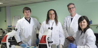Castellón y Argentina estudian las consecuencias del sobrepeso y la obesidad en embarazadas y recién nacidos Los investigadores de la Universidad Nacional de la Patagonia Jorge García y Graciela Ponce, con Javier Orenga y Paula Sánchez Thevenet, de la CEU UCH de Castellón.