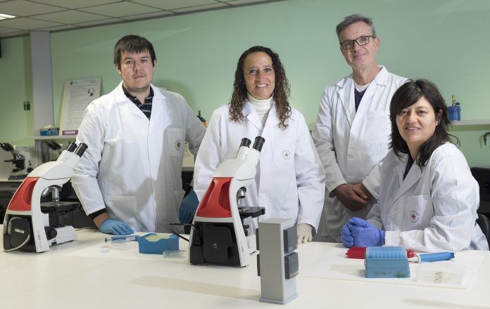 Los investigadores de la Universidad Nacional de la Patagonia Jorge García y Graciela Ponce, con Javier Orenga y Paula Sánchez Thevenet, de la CEU UCH de Castellón.