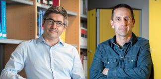 Detectan el consumo de cannabinoides sintéticos entre menores internados