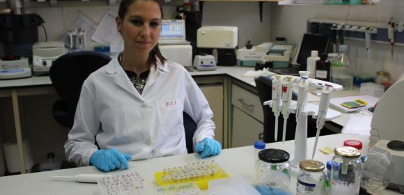 Consuelo Rubio Guerri, profesora asociada del Departamento de Farmacia de la Universidad CEU Cardenal Herrera, autora de la propuesta de prueba PCR de coste reducido.