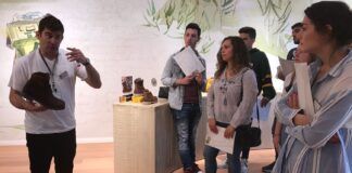 «La formación práctica de los alumnos acelera su incorporación al mercado laboral»