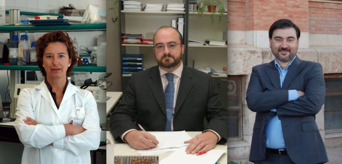 Los investigadores del Instituto de Ciencias Biomédicas de la CEU UCH Amparo Navea, Francisco Bosch y Salvador Mérida, autores del estudio.