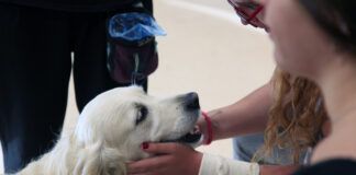 La profesora Milagros Benito, en el Ciclo Internacional sobre Intervenciones Asistidas con Animales e Inclusión