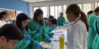 FECYT financia el proyecto de la CEU UCH “En busca de nuevos Fleming” Los experimentos en colegios e institutos para la búsqueda de nuevos microorganismos con capacidad de antibiosis son dirigidos por los universitarios del equipo SWI@CEU, en colegios como Edelweiss.