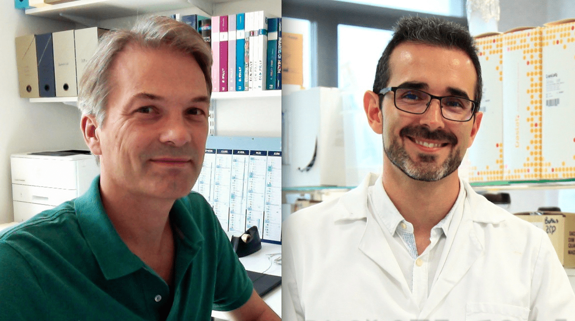 Marc Lecuit, del Instituto Pasteur, y Juan José Quereda, de la CEU UCH, son los investigadores principales del equipo autor del hallazgo de la nueva especie Listeria valentina.